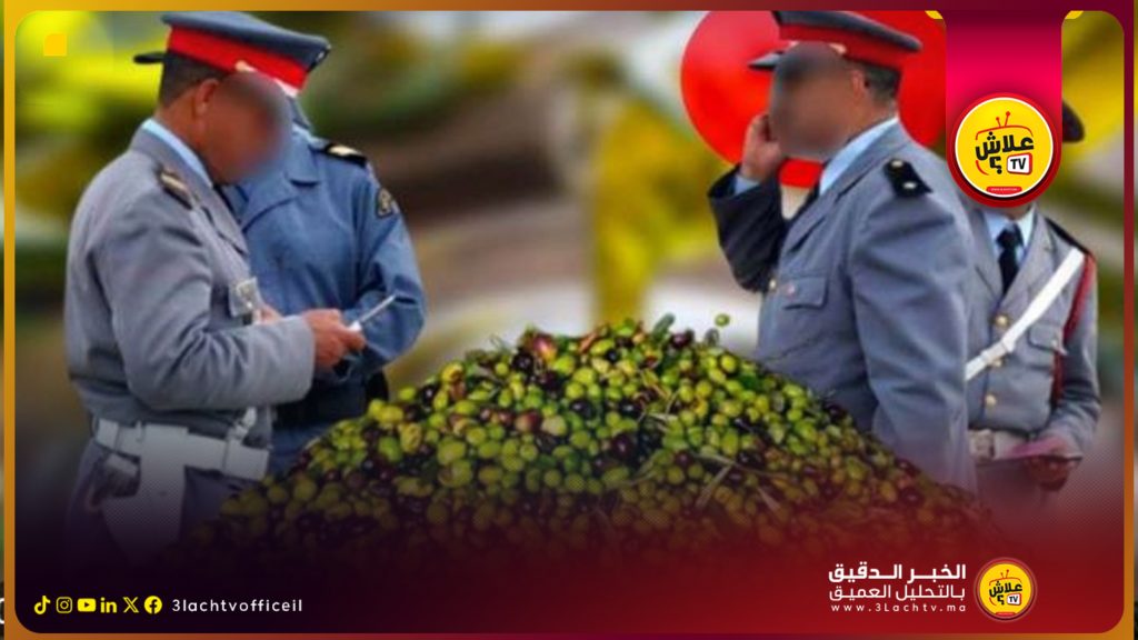 الدرك الملكي يحجز 5 أطنان من زيت الزيتون المغشوش
