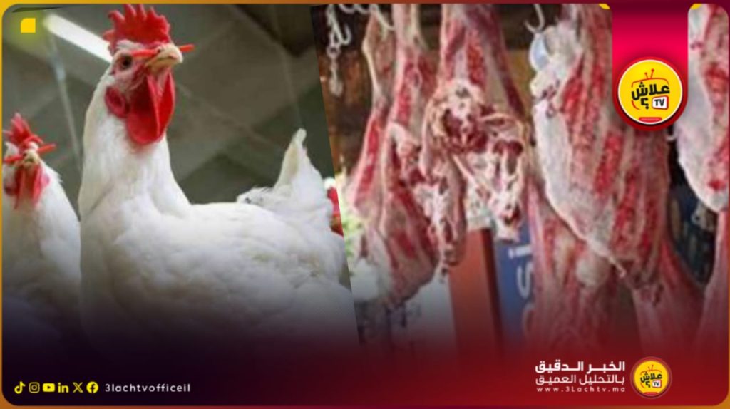 غلاء أسعار الدجاج واللحوم: حِـمل يُثقل كاهل المواطن المغربي البسيط.