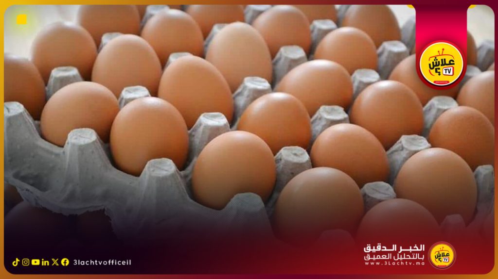 أسعار البيض في المغرب تسجل ارتفاعًا ملحوظًا قبل رمضان