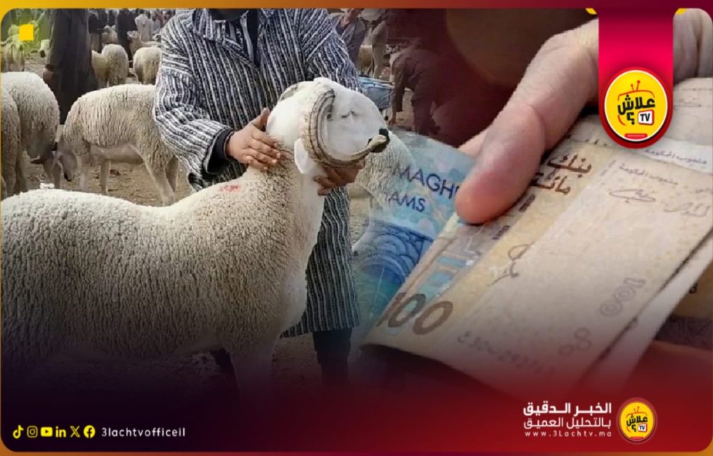 إلغاء عيد الأضحى بسبب غلاء الأضاحي على طاولة النقاش مع غياب حلول حكومية.