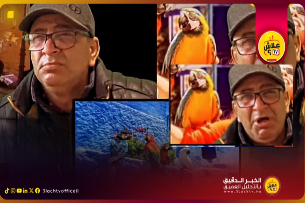 المياه والغابات.. كتقطع الأرزاق بالببغاوات وكتغمض عينها على الكلاب المتوحشة والخنازير فالشوارع!”