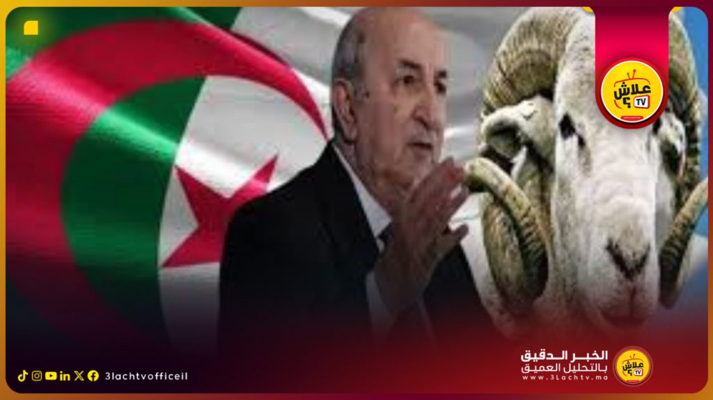 تحت شعار ” زكارة فالمروك “الرئيس الجزائري يتراجع عن تصريحاته ويقرر استيراد مليون رأس من الغنم قبل عيد الأضحى.