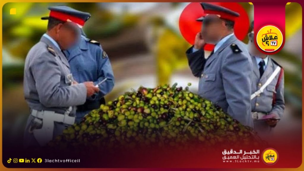 تفكيك شبكة لترويج زيت الزيتون المغشوش بدروة وحجز 2755 لترا معدة للتسويق.