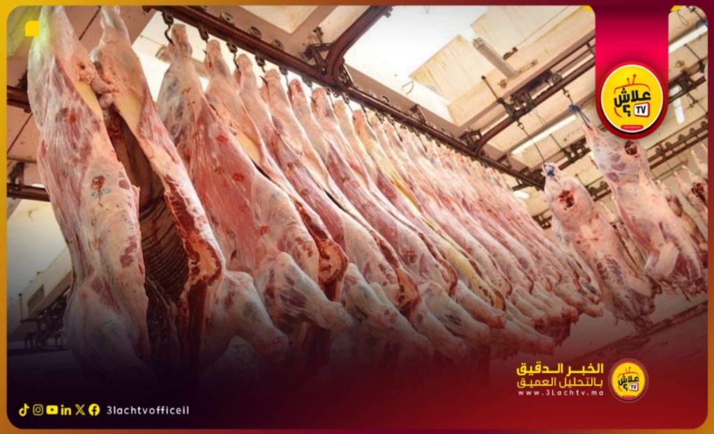 شركات أجنبية تسعى لدخول سوق اللحوم الحمراء بالمغرب خلال المعرض الدولي للفلاحة بمكناس.