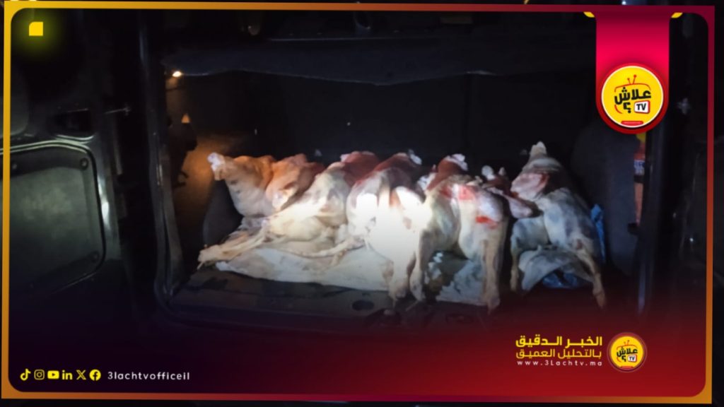 عناصر الدرك الملكي بسبت بني جرفط تحجز كمية من اللحوم الحمراء غير المطابقة للمعايير الصحية