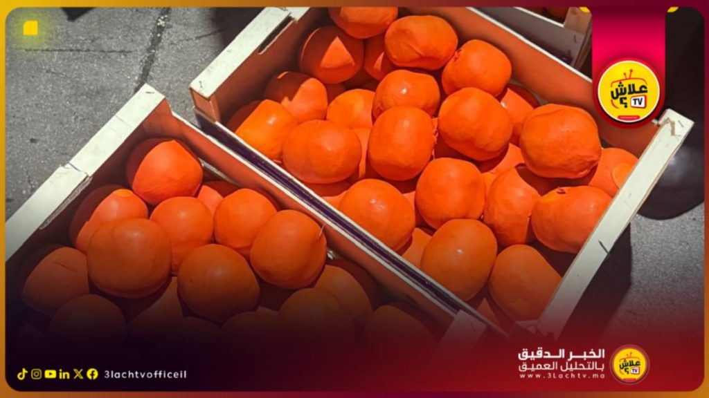إجهاض محاولة تهريب أزيد من أربعة أطنان من الشيرا بميناء طنجة المتوسط.
