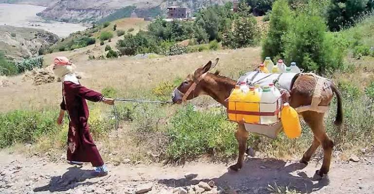 شح المياه يفرض التقشف على الجماعات.. ميزانيات 2027 تحت مجهر السلطات